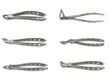 Picture of Extraction Forceps Set option for Extraction Forceps Set product (BlueSkyBio.com)